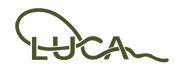 The word 'LUCA' is rendered in a stylized dark olive green outline font on a solid white background.